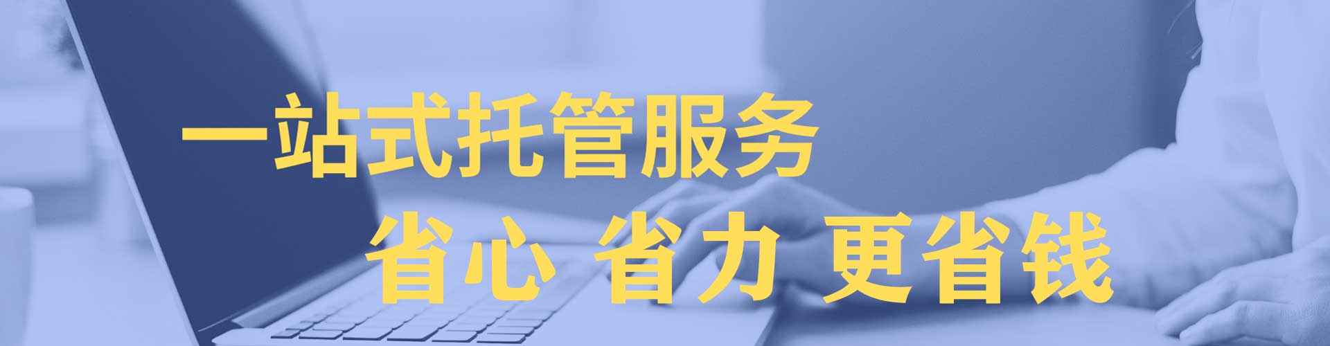 突泉sem优化